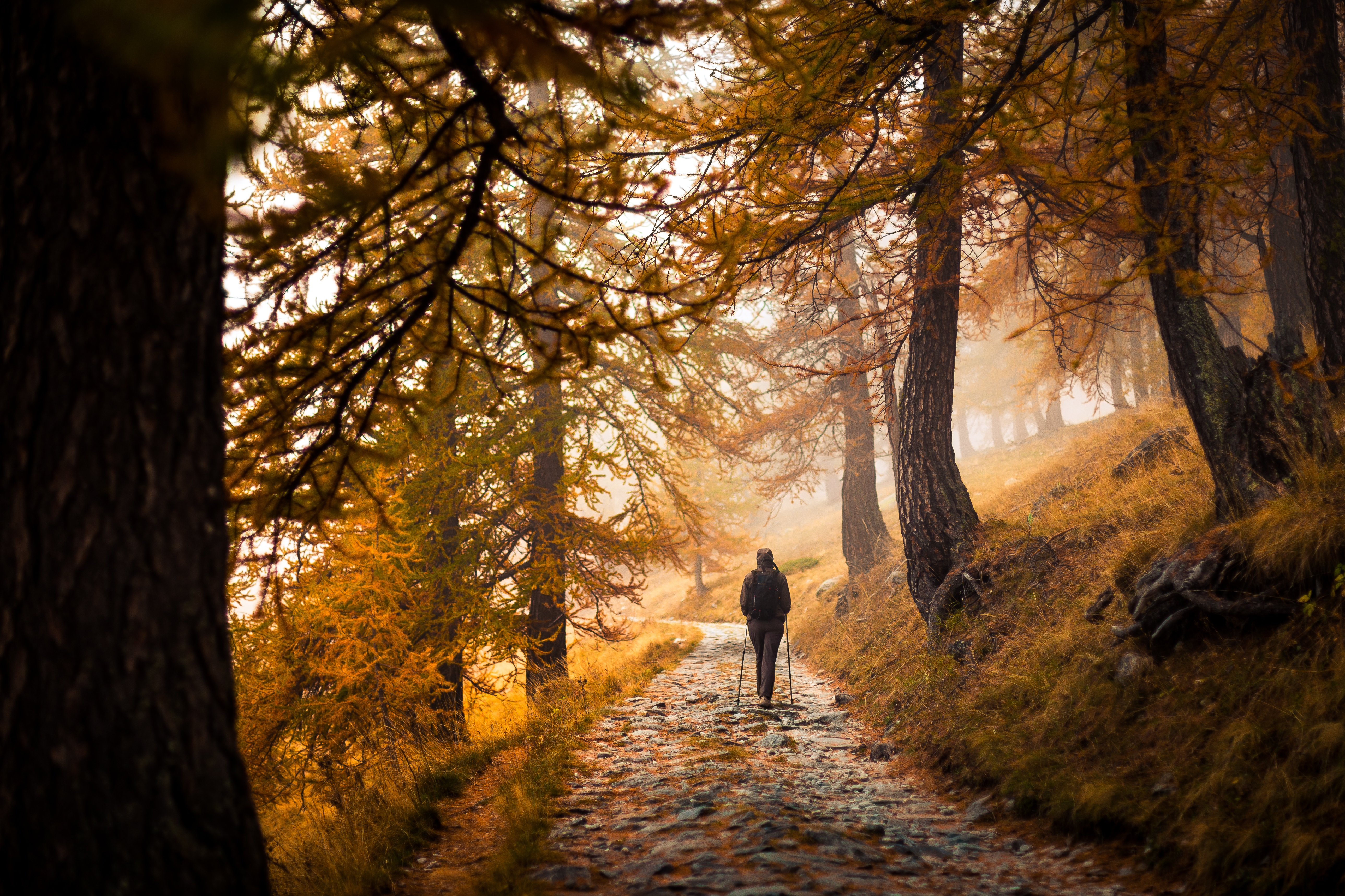 Randonnée d'automne en Roya