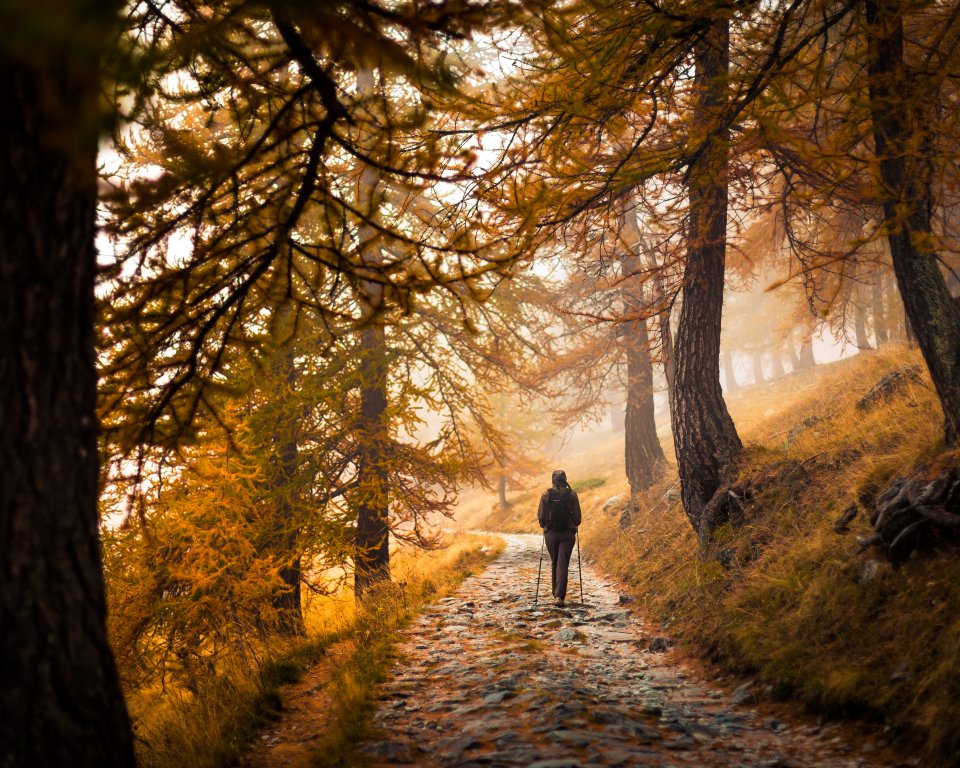 Randonnée d'automne en Roya