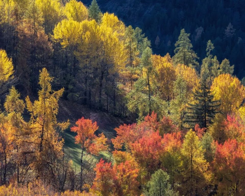 Paysage d'automne en Ubaye par Claude Gouron