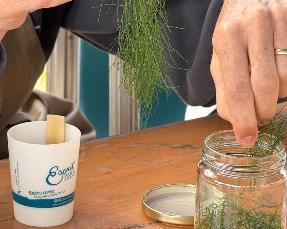 Atelier de conserveries responsables à Isola