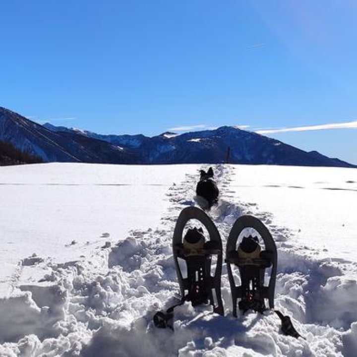 Location raquettes à neige - 