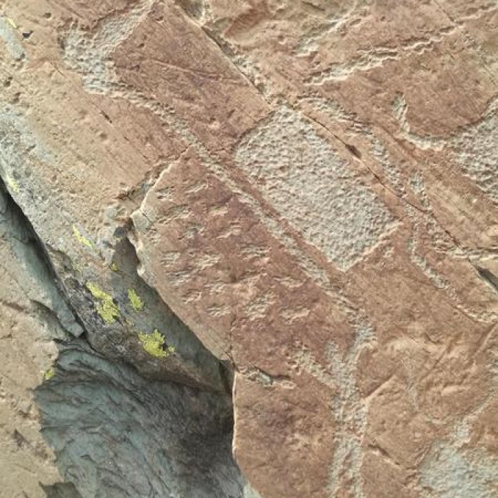 Syndicat d'accompagnateurs "Merveilles Gravures et Découvertes"_Tende - Gravures