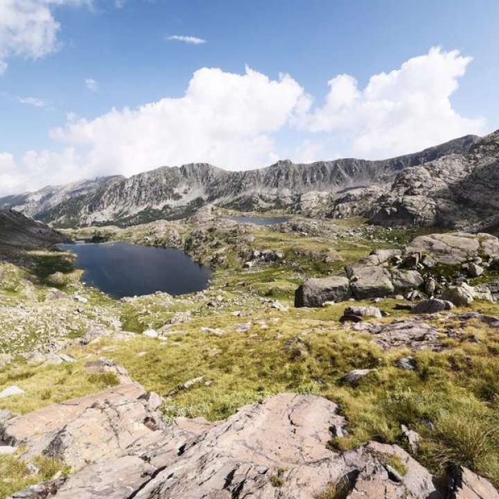 Syndicat d'accompagnateurs "Merveilles Gravures et Découvertes"_Tende - Gravures