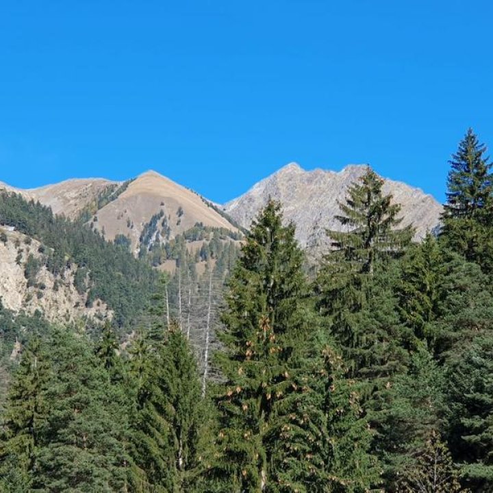 Vue montagnes de l'atelier.jpg - 