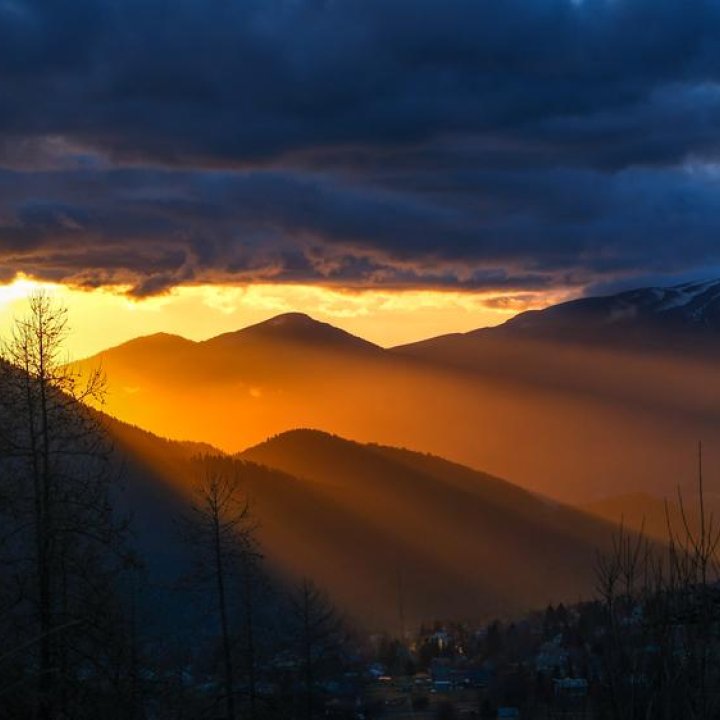 Nicolas SVETCHINE - Photographie Nature_Valdeblore