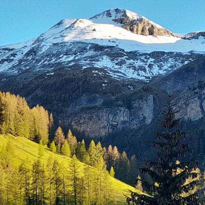 Vallon de Sallevielle - Printemps 2021.jpg - L'Alp et la Cîme Nègre
