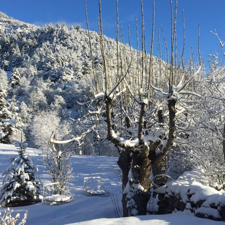 La Bousquetière - Chambre d'hôtes à Jausiers - La Bousquetière