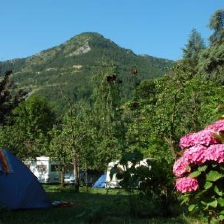 TENTE HORTENSIAS.jpg - 