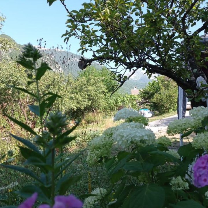 1678787450582.jpg - Planter la tente dans un joli verger fleuri