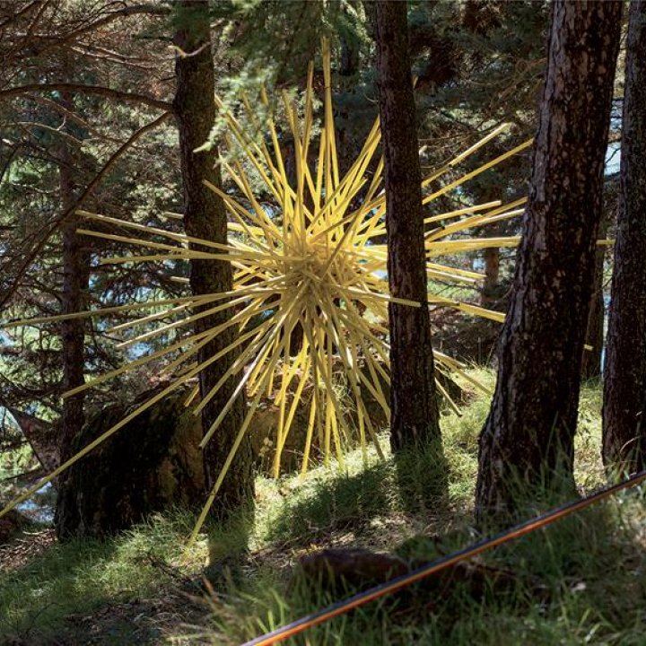 photo-JC-Fraicher-Soleil-Olivier-Roche.jpg - Le parcours des arts à l'arboretum