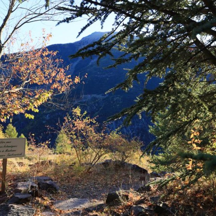 Sergey-Karepanov-(430).jpg - L'aire aux rosiers botaniques