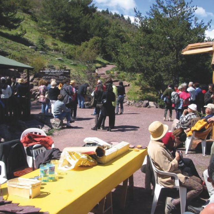 pique-nique.jpg - Les ateliers et pique-niques