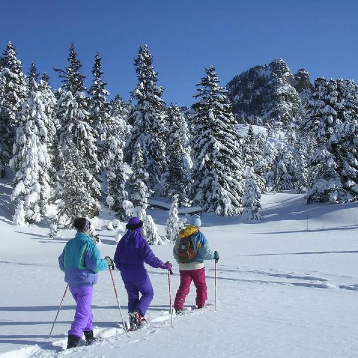 010.jpg - L'arboretum en raquettes 