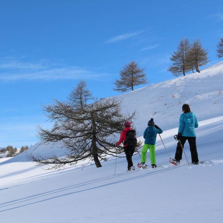 Montagne d'Ubaye