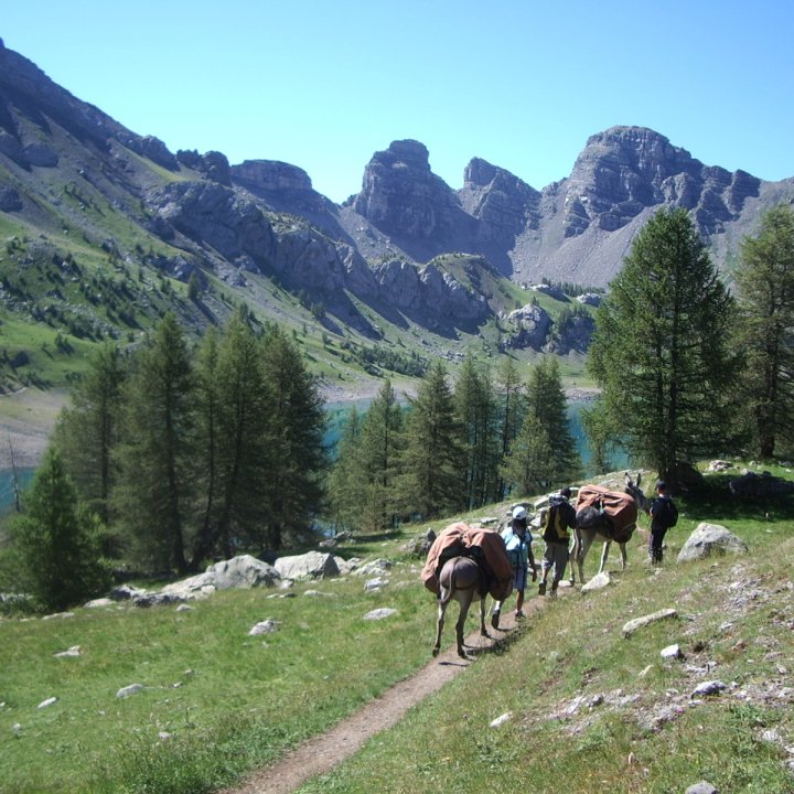 Arrivée au  lac d'Allos avec les ânes