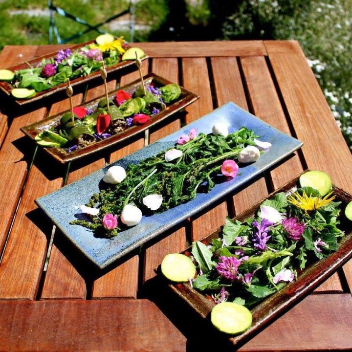farandole aux herbes sauvages