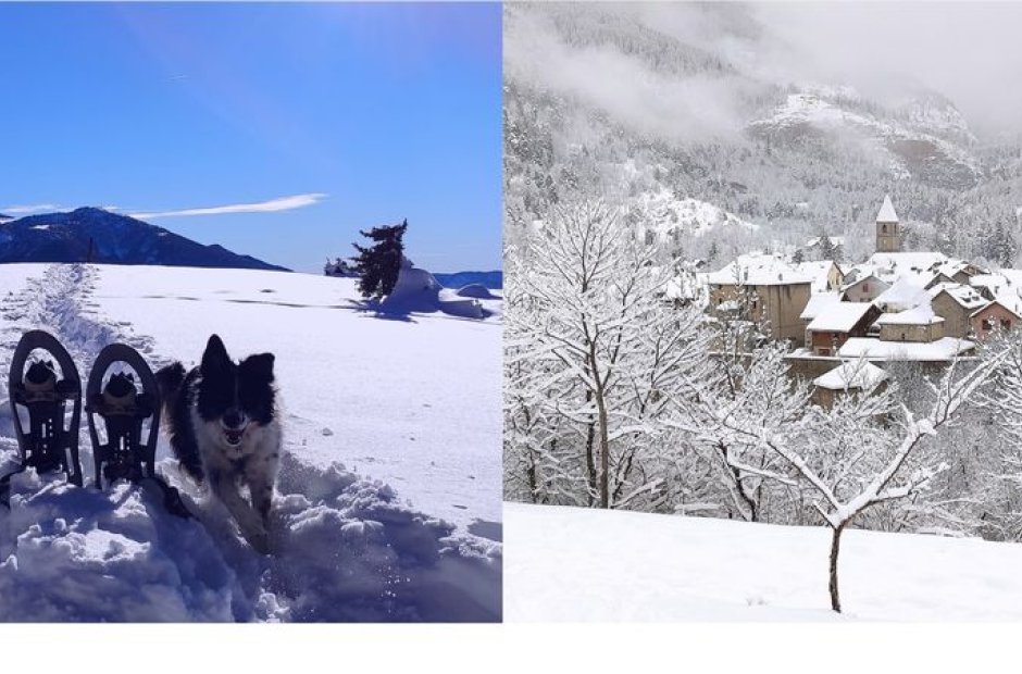 Raquettes à neige
