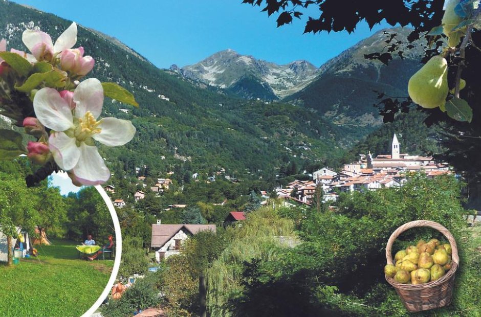 carte-elements.jpg - 