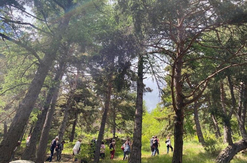 IMG_2924.jpg - Les sentiers de l'arboretum