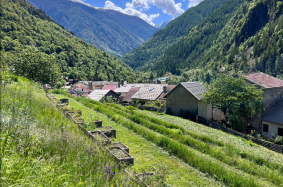 Le Conservatoire-Jardin d'Isola_Isola