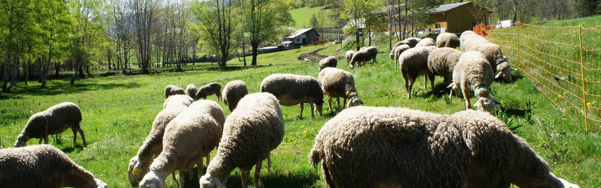 Bergerie la Belloire à Saint Étienne de Tinée