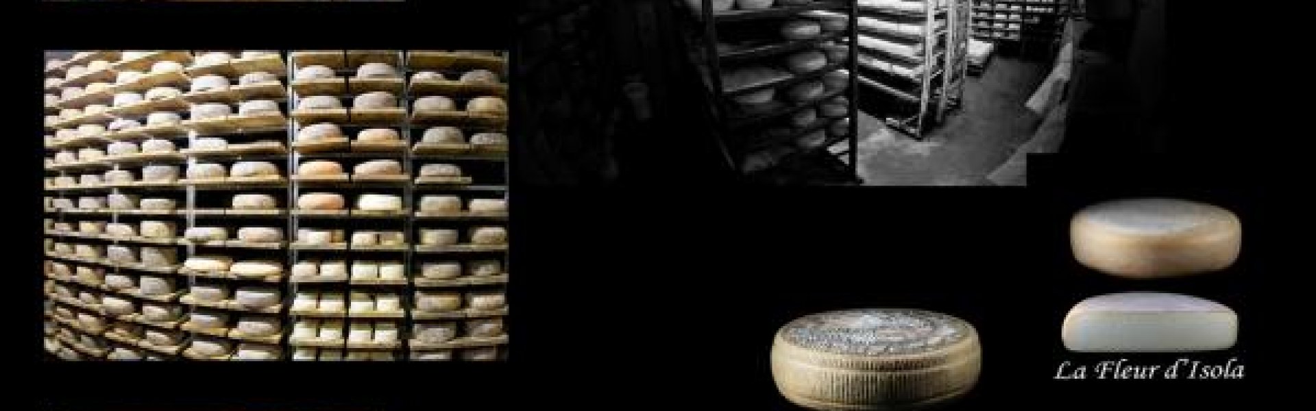 Les fromages de la Fromagerie de Chastillon