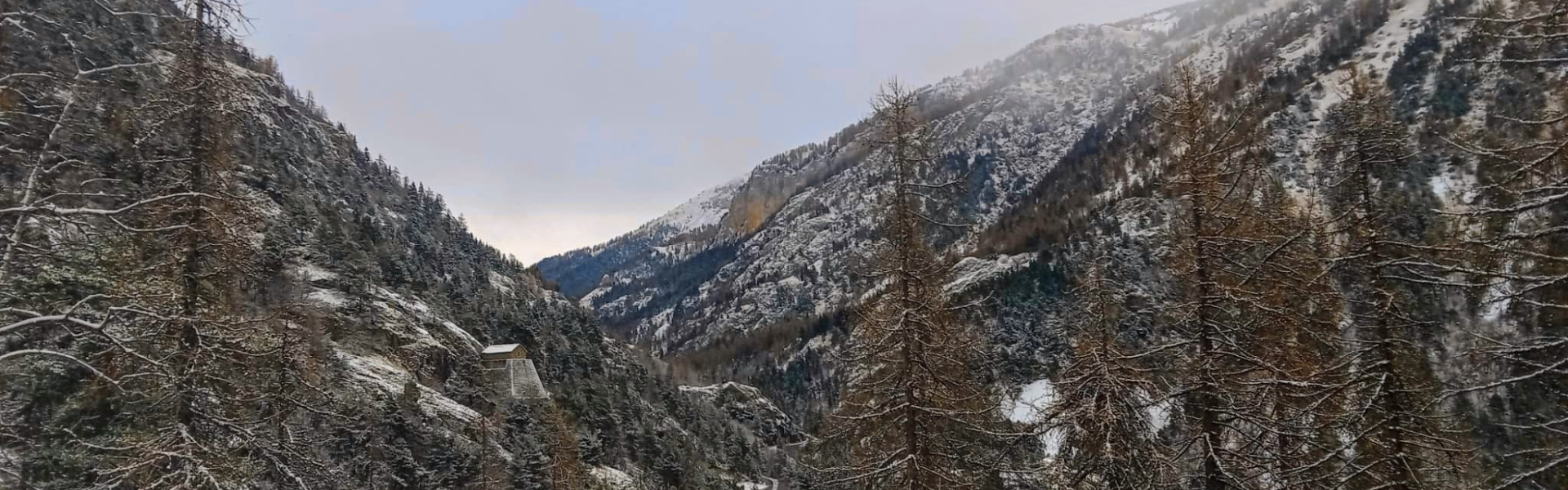 Paysage d'hiver au gîte Neige et Merveilles Parc national du Mercantour