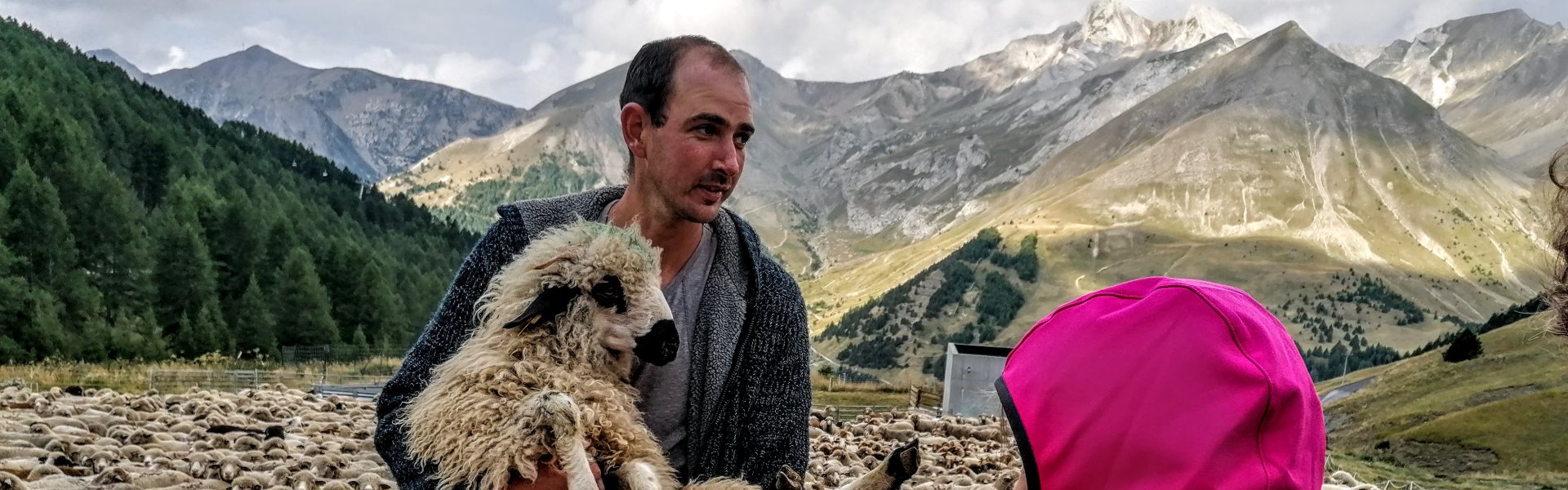 Troupeau de moutons avec son berger dans le Val d'Allos