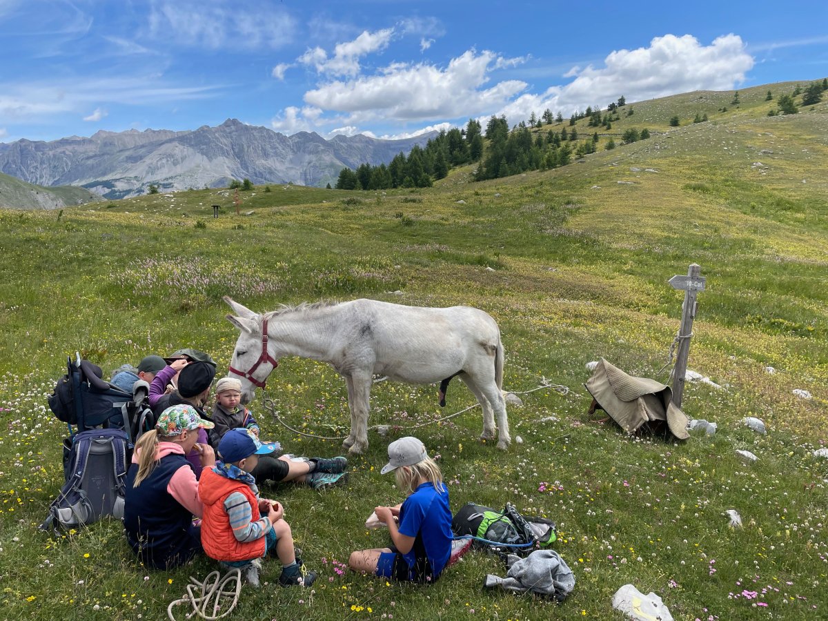 Découvrez le Mercantour en famille : Randonnée avec un âne
