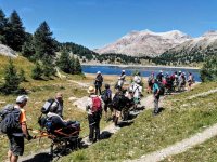 Sortie pour personnes à mobilité réduite au lac d'Allos