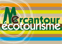 Logo AME