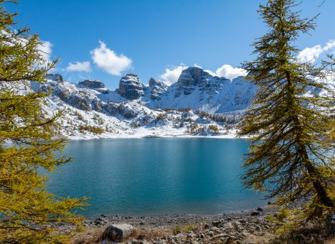 Parc national du Mercantour - Mélèzes en Hiver