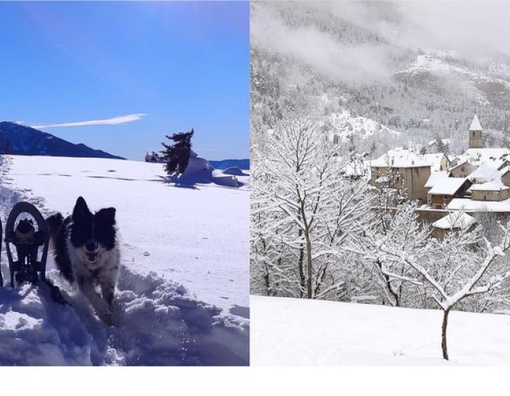 Raquettes à neige - 