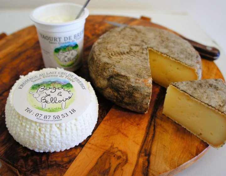 Produits Bergerie de la Belloire - Bergerie de la Belloire