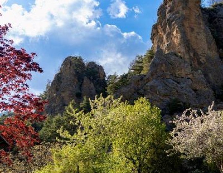 Camping Le Cians_Peone - Entrée