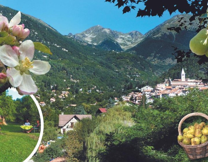 carte-elements.jpg - 