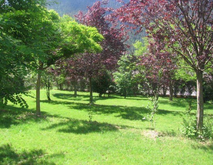 Famille LEDUFF - Extérieur