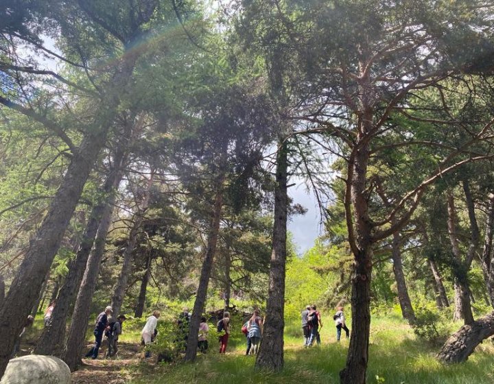 IMG_2924.jpg - Les sentiers de l'arboretum