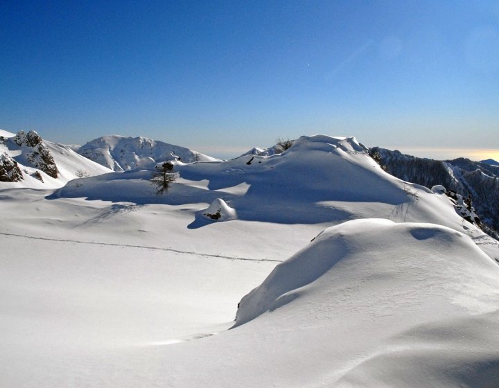 Paysage hivernal au cœur du Parc national du Mercantour 