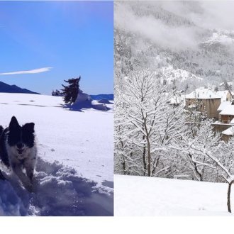 Raquettes à neige