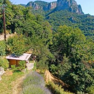 Chambre d'hôtes Le Berghon_Fontan - Chambre d'hôtes Le Berghon