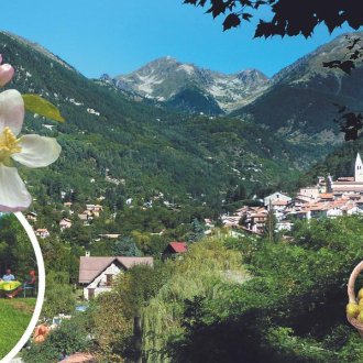 carte-elements.jpg - 