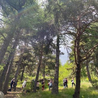 IMG_2924.jpg - Les sentiers de l'arboretum