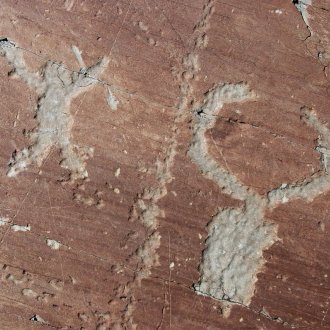 photo de gravures rupestres de la vallée des Merveilles 
