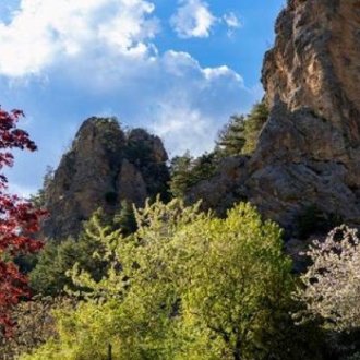 Camping le Cians à Péone 