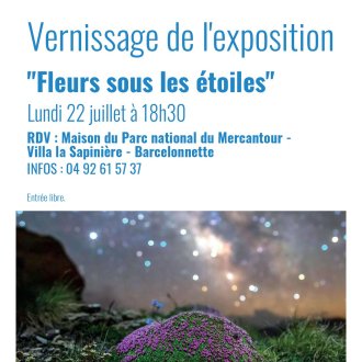Affiche vernissage exposition "Fleurs sous les étoiles" Barcelonnette "