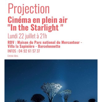 Affiche cinéma en plein air Barcelonnette 