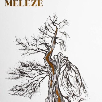 Couverture du livre "Le Véritable Mélèze" de Gilles Mottet