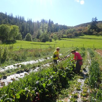 Potager de Bergians