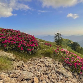 Paysage de montagne du Mercantour au printemps 